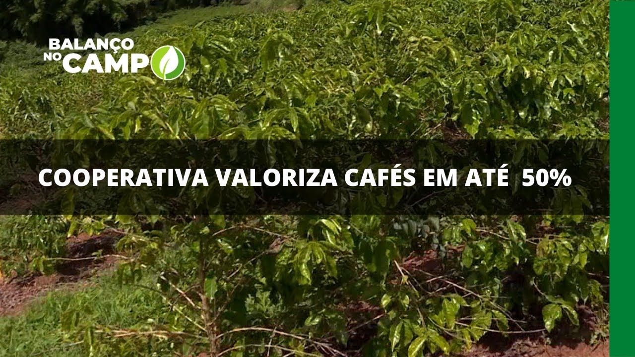 COOPERATIVA FORTALECE PRODUTORES E AUMENTA COMERCIALIZAÇÃO DE CAFÉ EM ATÉ 50%