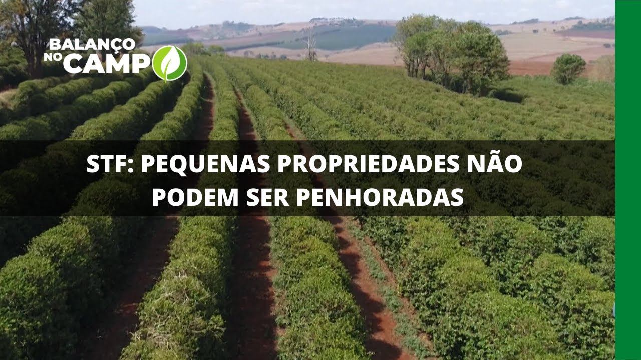 STF: PEQUENAS PROPRIEDADES NÃO PODEM SER PENHORADAS