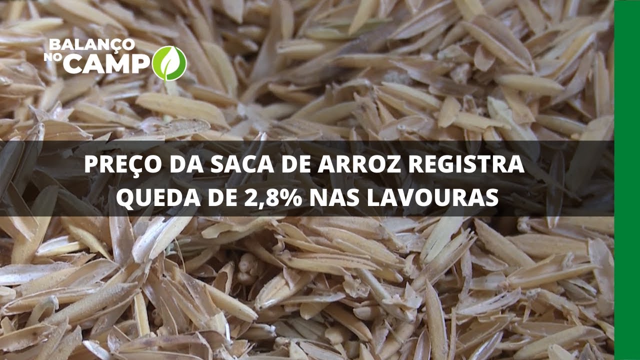 PREÇO DA SACA DE ARROZ REGISTRA QUEDA DE 2,8% NAS LAVOURAS