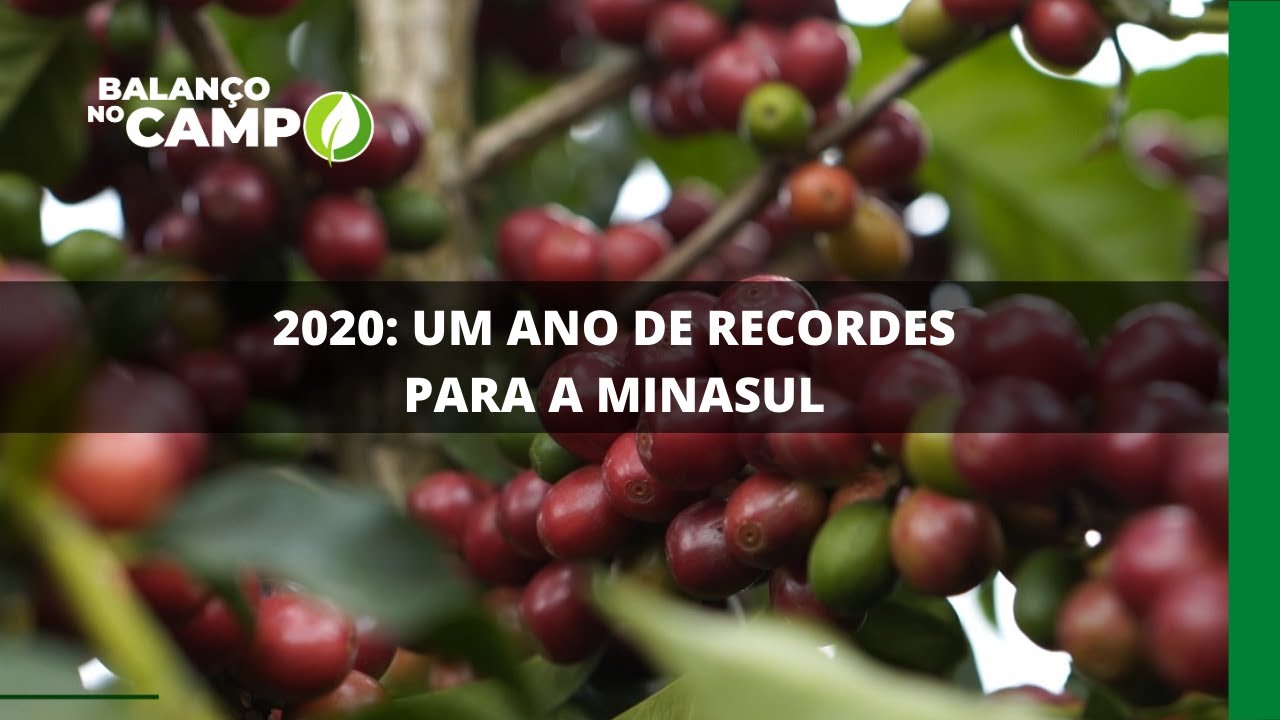 2020: UM ANO DE RECORDES PARA A MINASUL