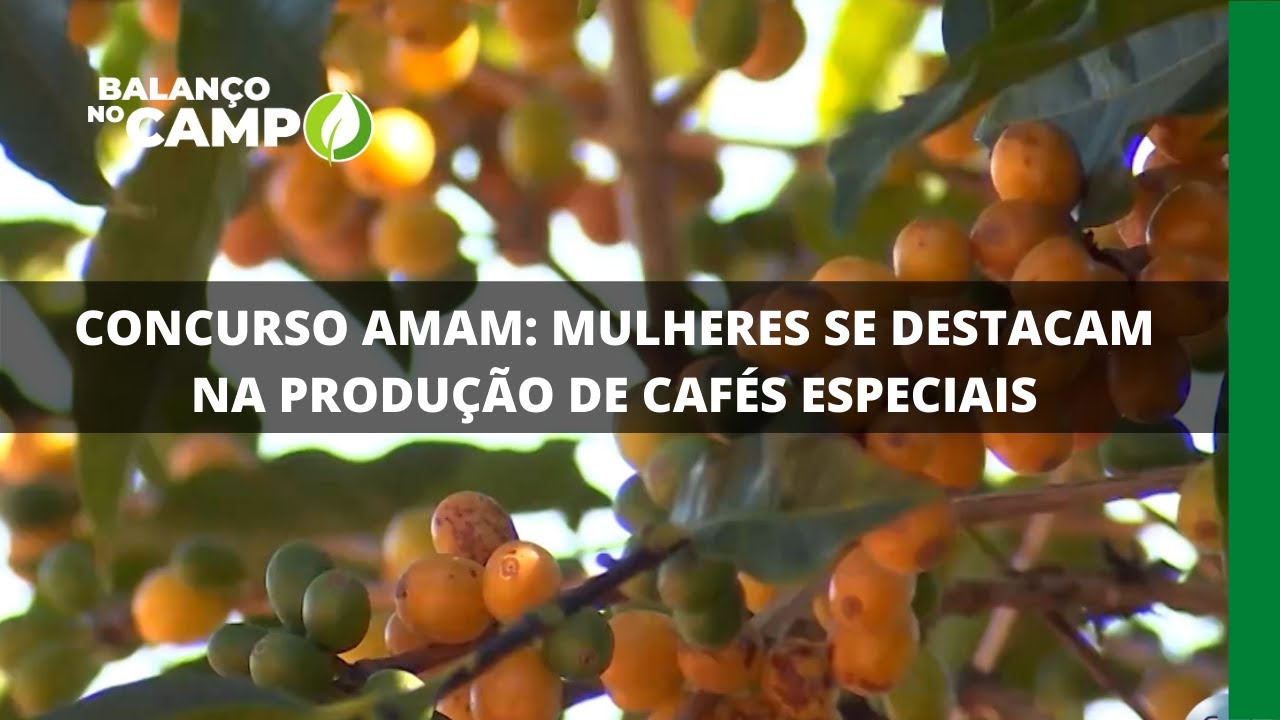 CONCURSO AMAM MULHERES SE DESTACAM NA PRODUÇÃO DE CAFÉS ESPECIAIS