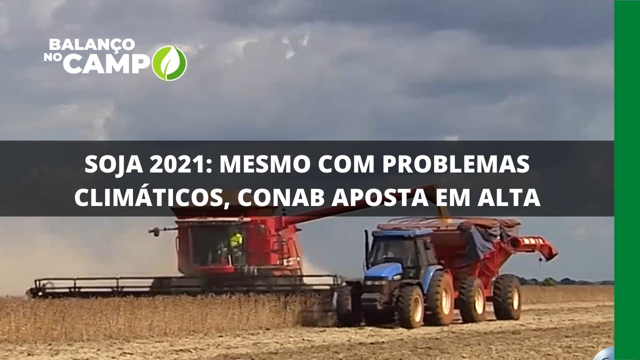 SOJA 2021: MESMO COM PROBLEMAS CLIMÁTICOS, CONAB APOSTA EM ALTA