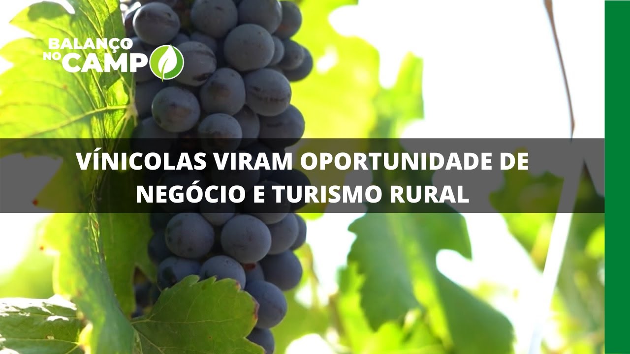 VÍNICOLAS VIRAM OPORTUNIDADE DE NEGÓCIO E TURISMO RURAL