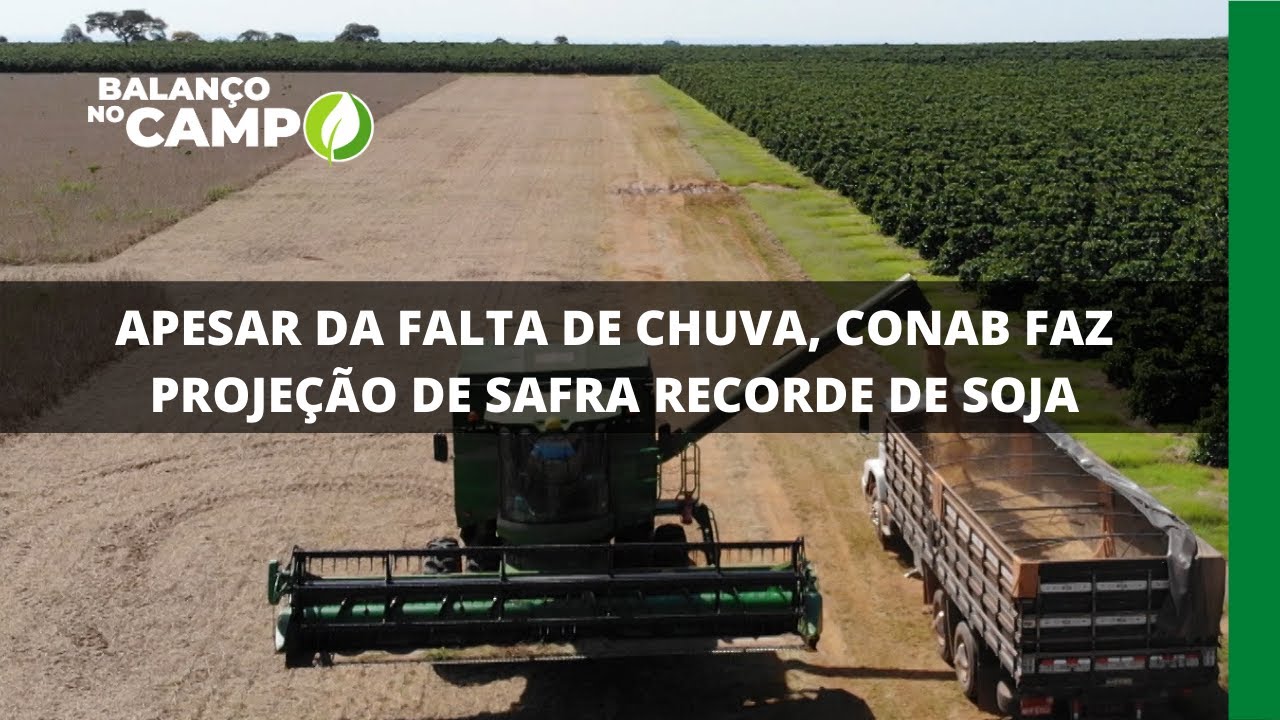 APESAR DA FALTA DE CHUVA, CONAB FAZ PROJEÇÃO DE SAFRA RECORDE DE SOJA