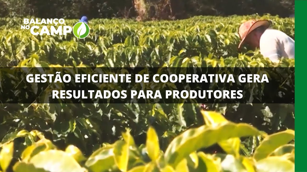 GESTÃO EFICIENTE DE COOPERATIVA GERA RESULTADOS PARA PRODUTORES