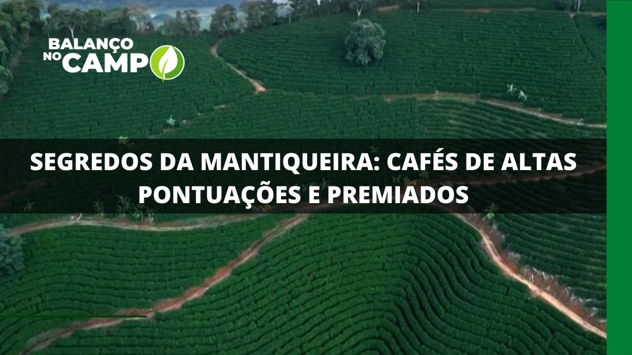 SEGREDOS DA MANTIQUEIRA: CAFÉS DE ALTAS PONTUAÇÕES E PREMIADOS