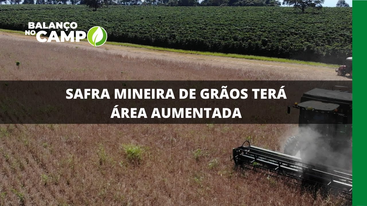 SAFRA MINEIRA DE GRÃOS TERÁ ÁREA AUMENTADA