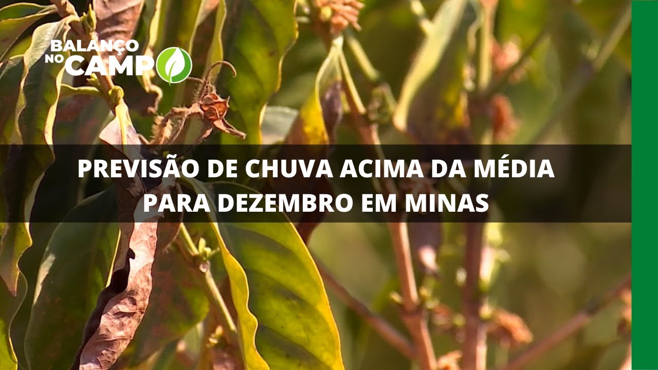 PREVISÃO DE CHUVA ACIMA DA MÉDIA PARA DEZEMBRO EM MINAS