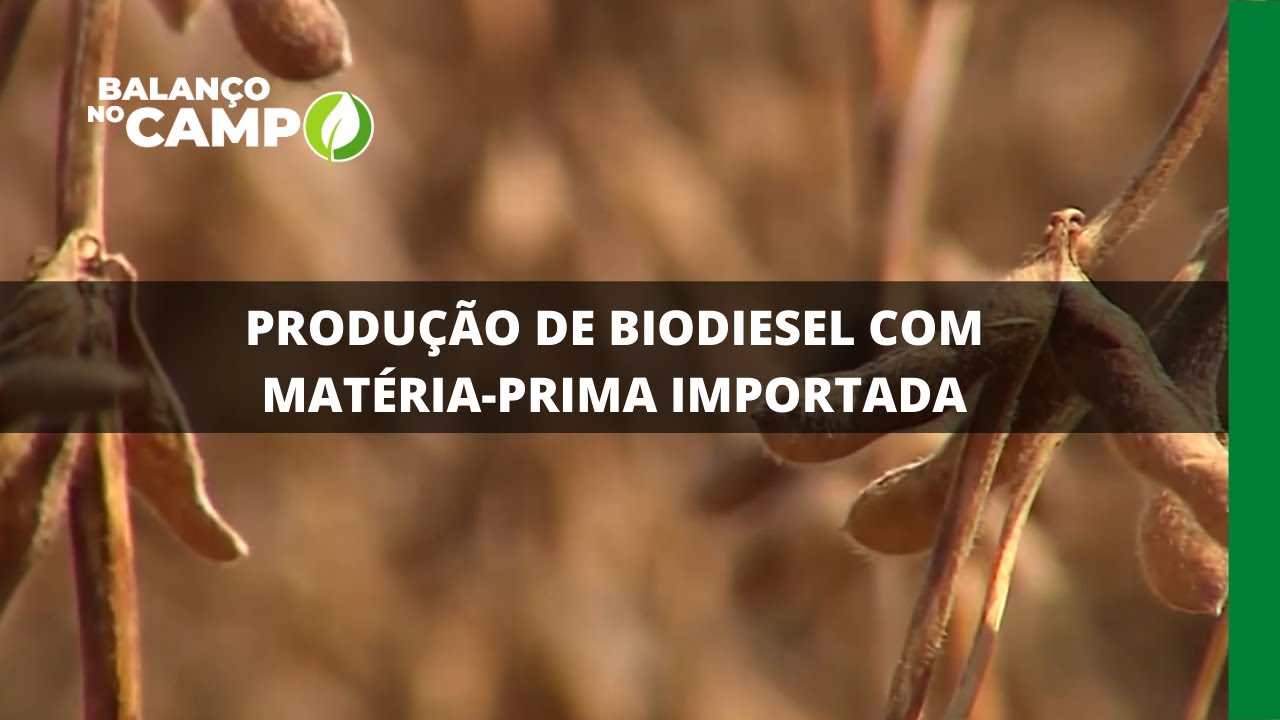 PRODUÇÃO DE BIODIESEL COM MATÉRIA-PRIMA IMPORTADA