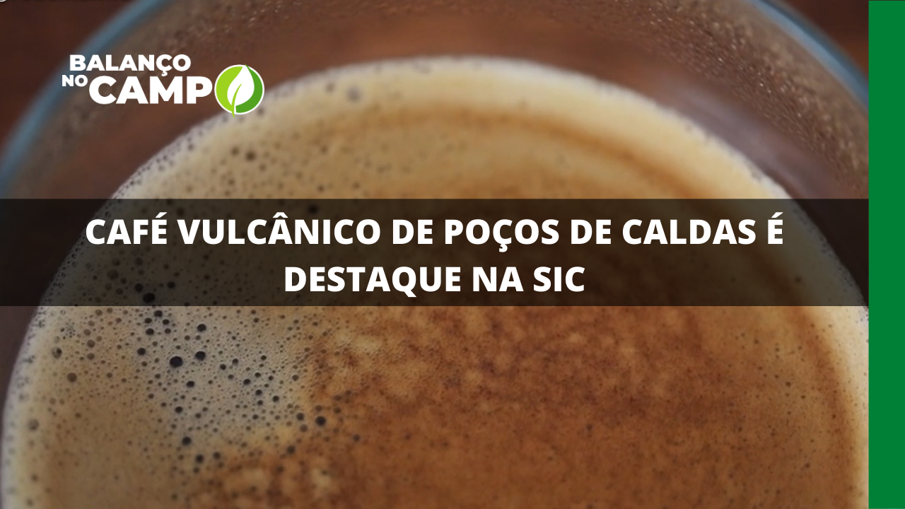 CAFÉ VULCÂNICO DE POÇOS DE CALDAS É DESTAQUE NA SIC