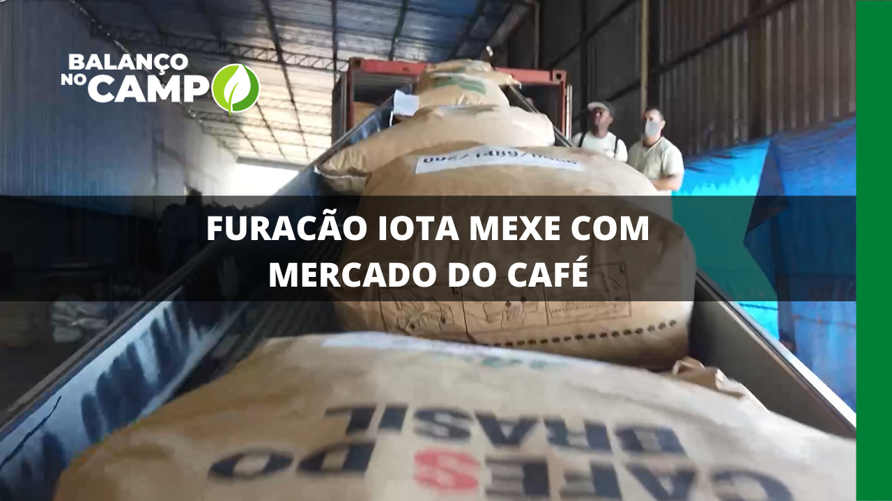 FURACÃO IOTA MEXE COM MERCADO DO CAFÉ