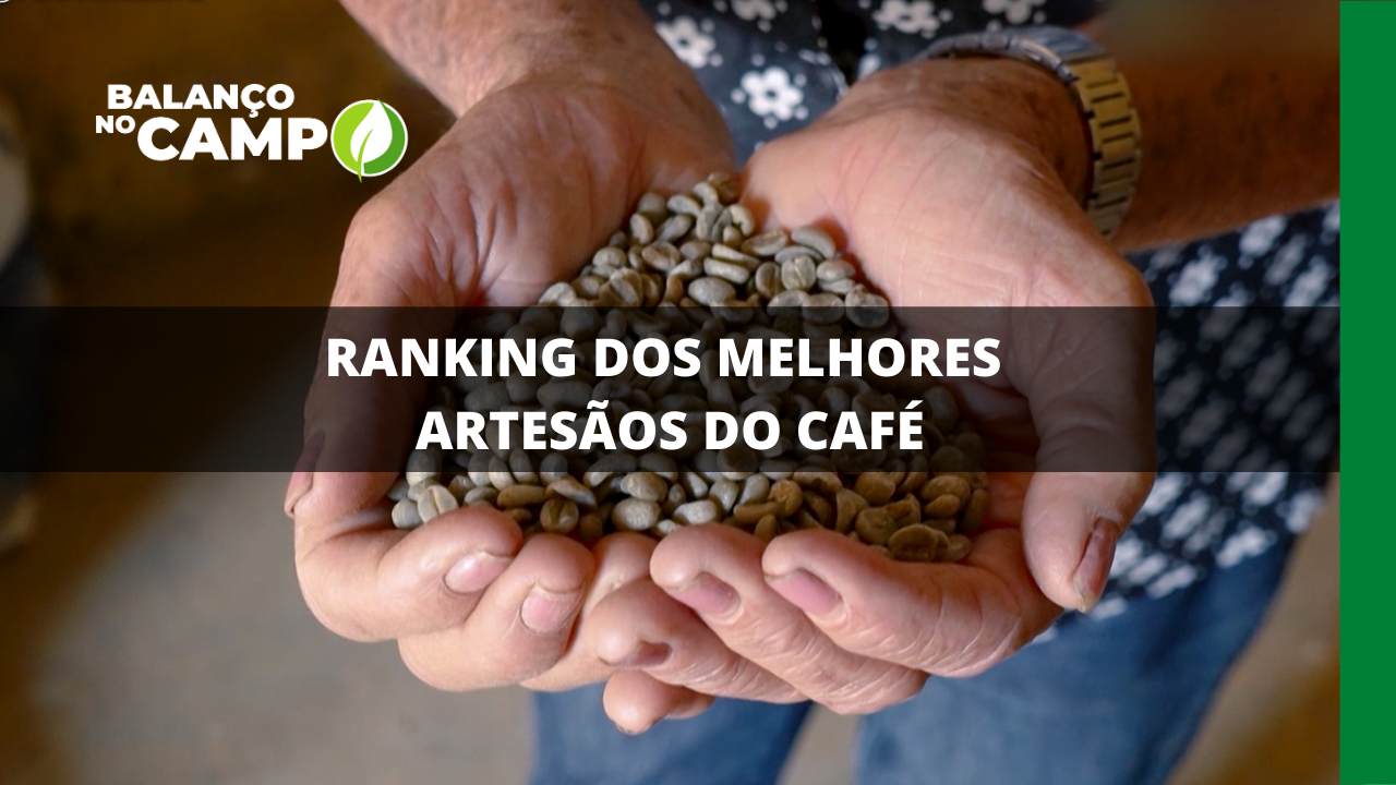 RANKING DOS MELHORES ARTESÃOS DO CAFÉ