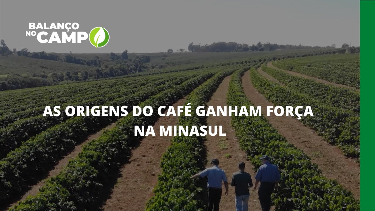 AS ORIGENS DO CAFÉ GANHAM FORÇA NA MINASUL