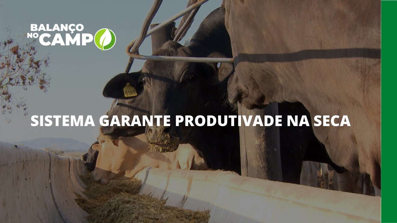 SISTEMA GARANTE PRODUTIVADE NA SECA