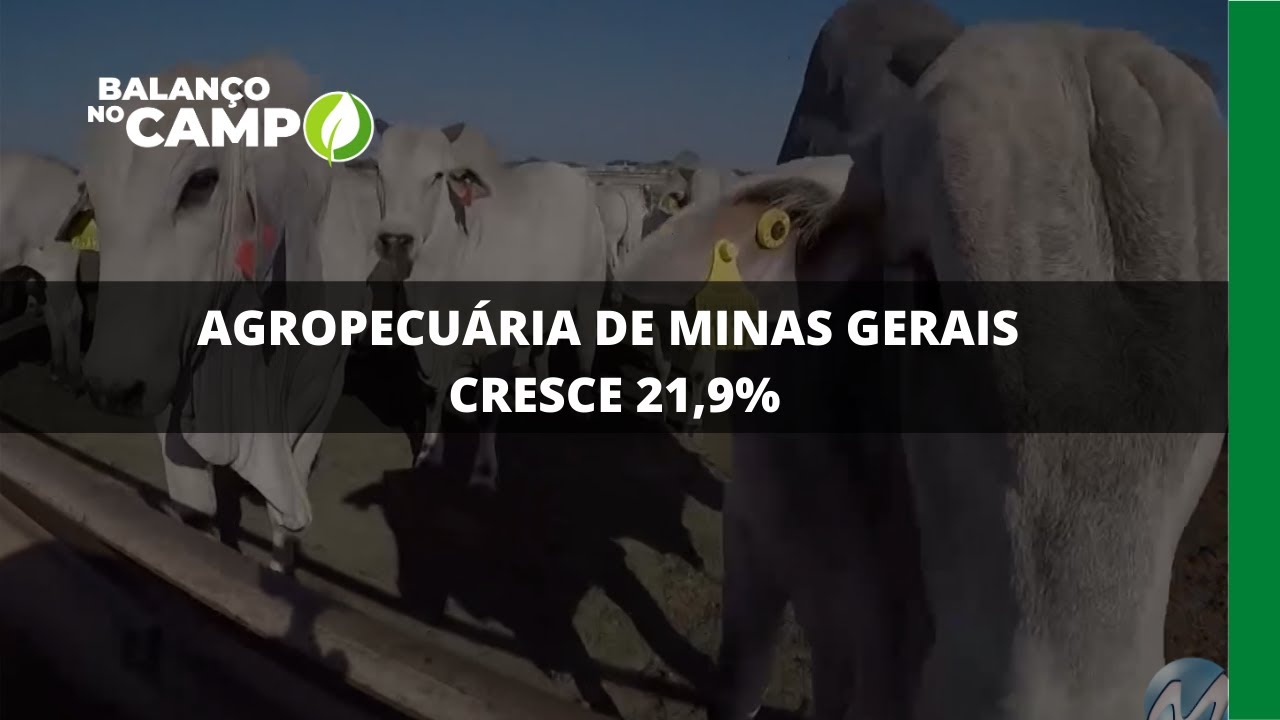 AGROPECUÁRIA DE MINAS GERAIS CRESCE 21,9%