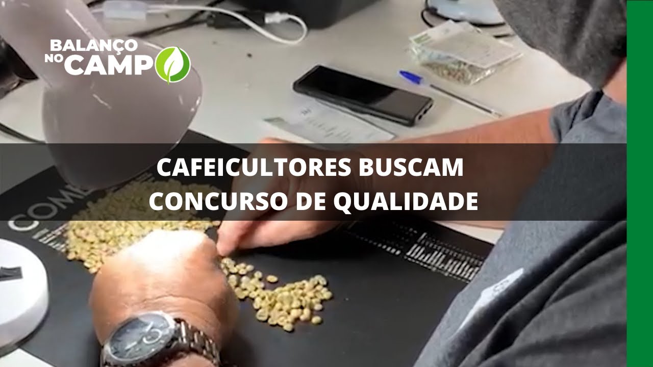 CAFEICULTORES BUSCAM CONCURSO DE QUALIDADE