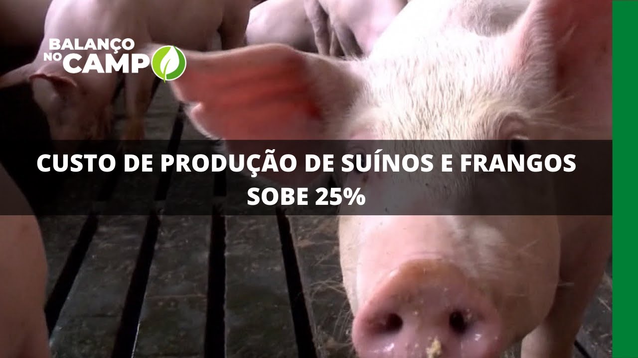 CUSTO DE PRODUÇÃO DE SUÍNOS E FRANGOS SOBE 25%