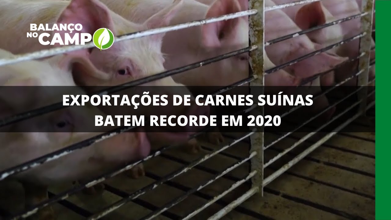 EXPORTAÇÕES DE CARNES SUÍNAS BATEM RECORDE EM 2020