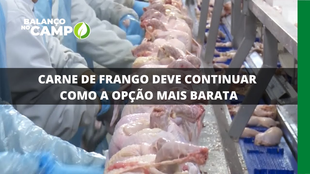 CARNE DE FRANGO DEVE CONTINUAR COMO A OPÇÃO MAIS BARATA