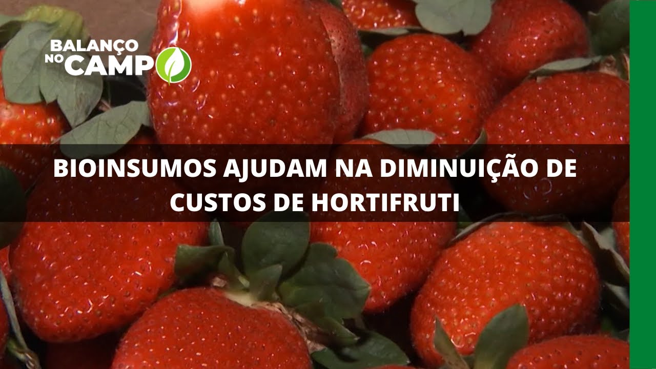 BIOINSUMOS AJUDAM NA DIMINUIÇÃO DE CUSTOS DE HORTIFRUTI