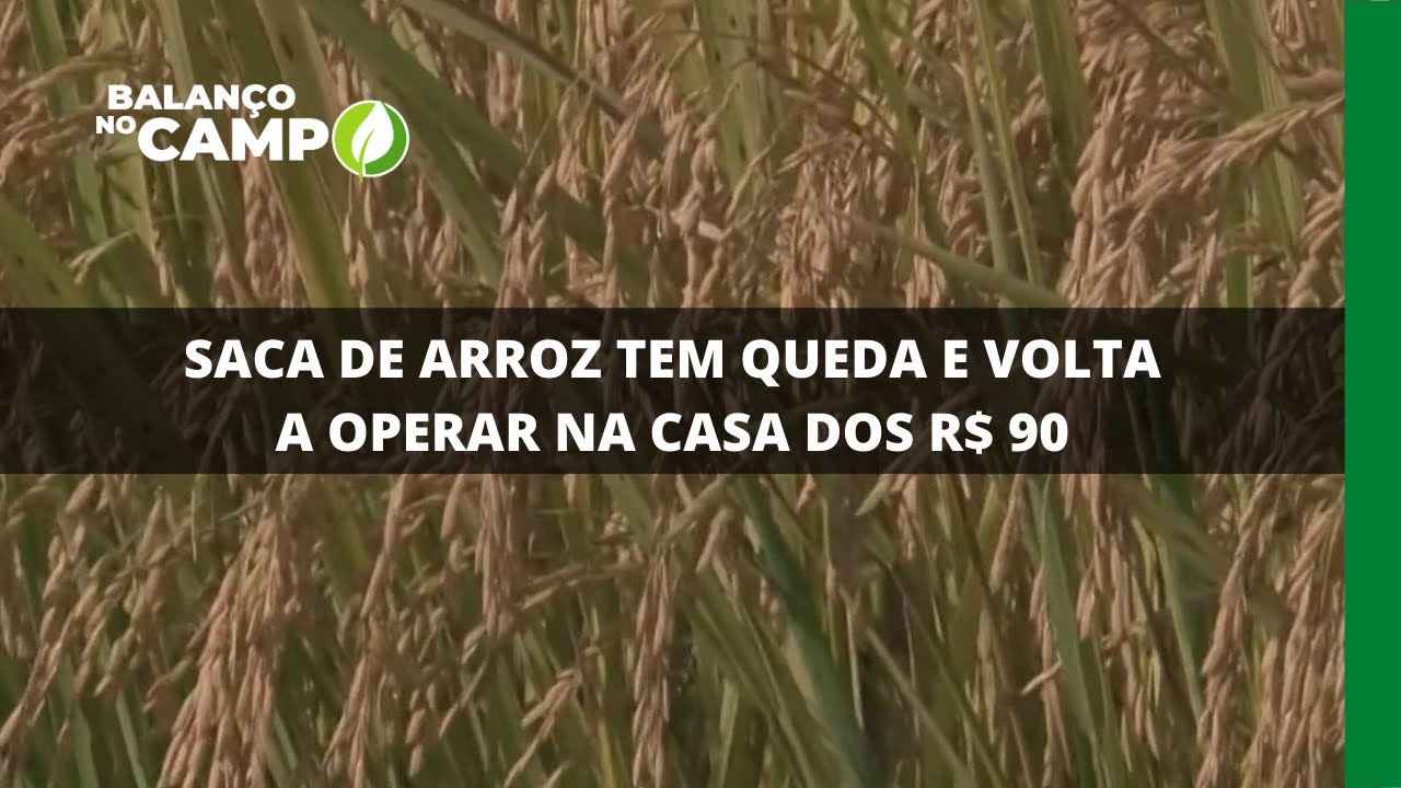 SACA DE ARROZ TEM QUEDA E VOLTA A OPERAR NA CASA DOS R$ 90