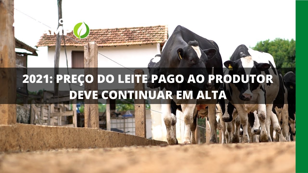 2021: PREÇO DO LEITE PAGO AO PRODUTOR DEVE CONTINUAR EM ALTA