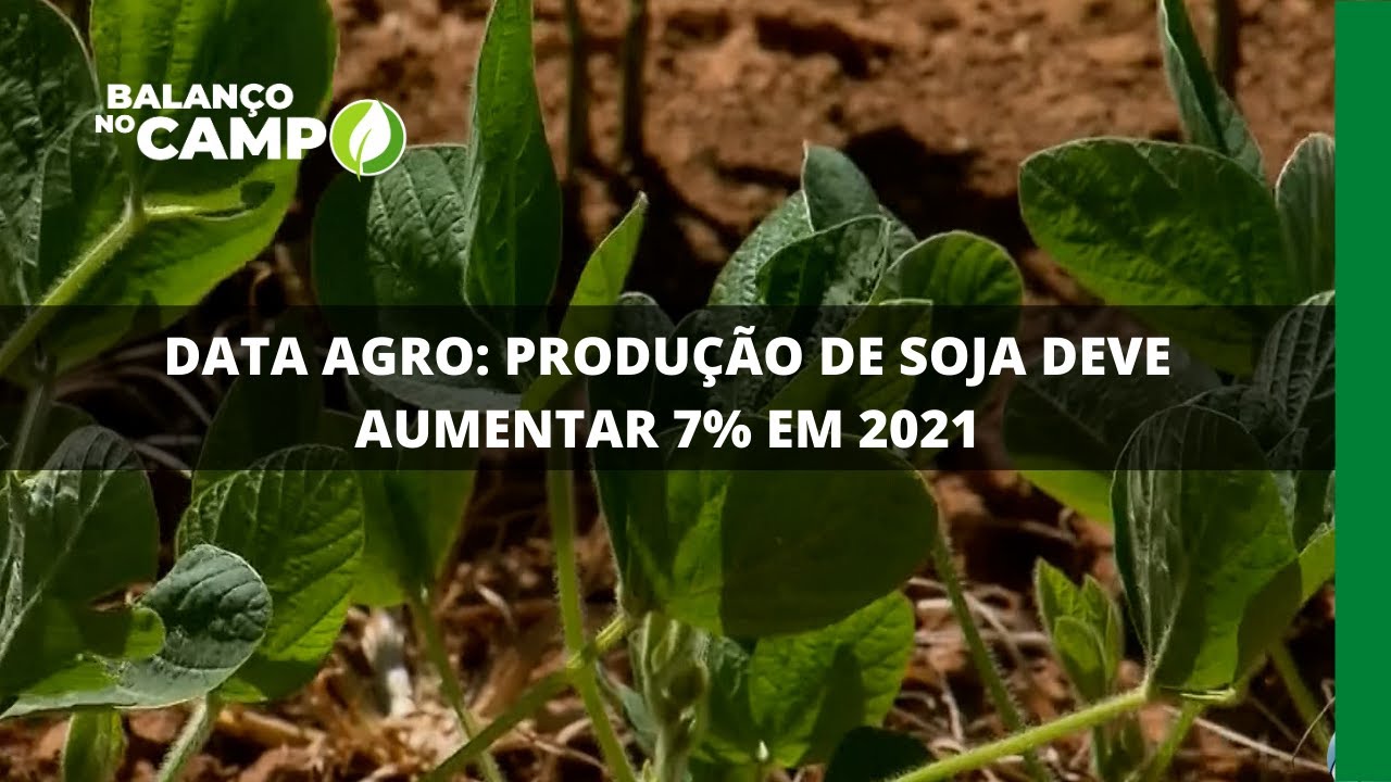 DATA AGRO: PRODUÇÃO DE SOJA DEVE AUMENTAR 7% EM 2021