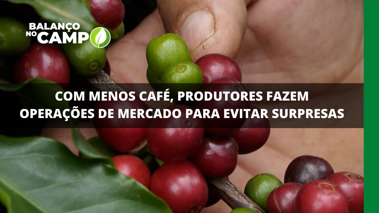 COM MENOS CAFÉ, PRODUTORES FAZEM OPERAÇÕES DE MERCADO PARA EVITAR SURPRESAS