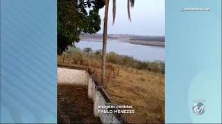 Sul de Minas: lobo-guará é visto na zona rural de Fama