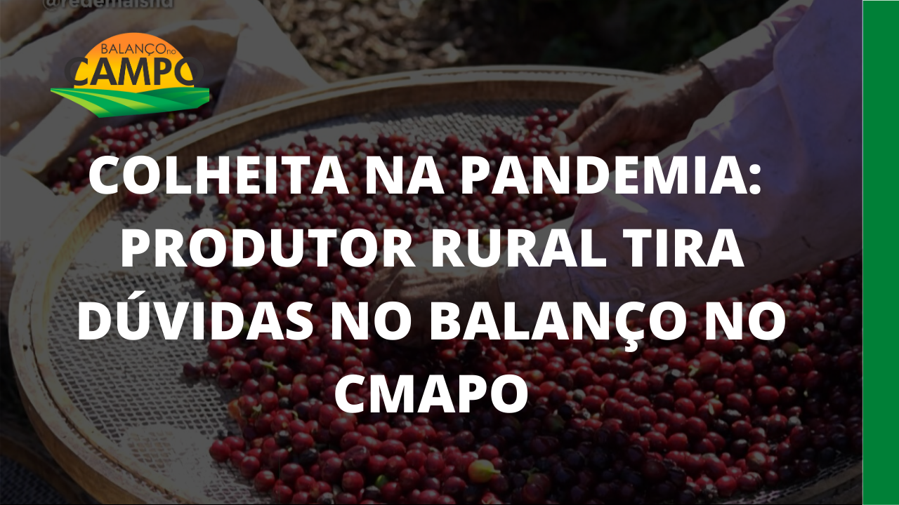 COLHEITA NA PANDEMIA: Produtor rural tira dúvidas no Balanço no Campo