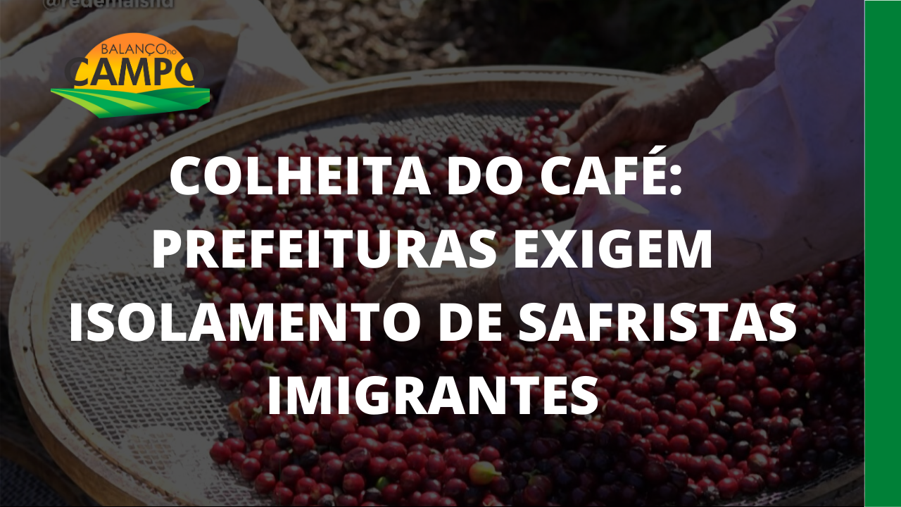 COLHEITA DO CAFE: Prefeituras exigem isolamento de safristas de imigrantes