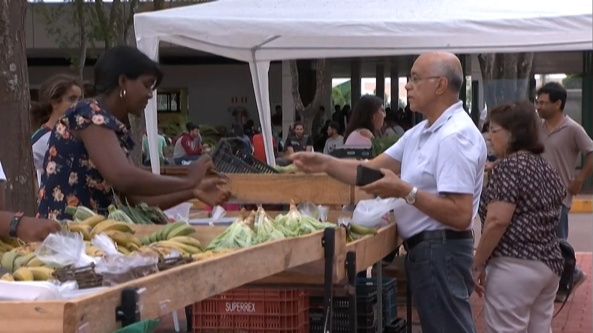 Feira na universidade: hortaliças sem agrotóxicos