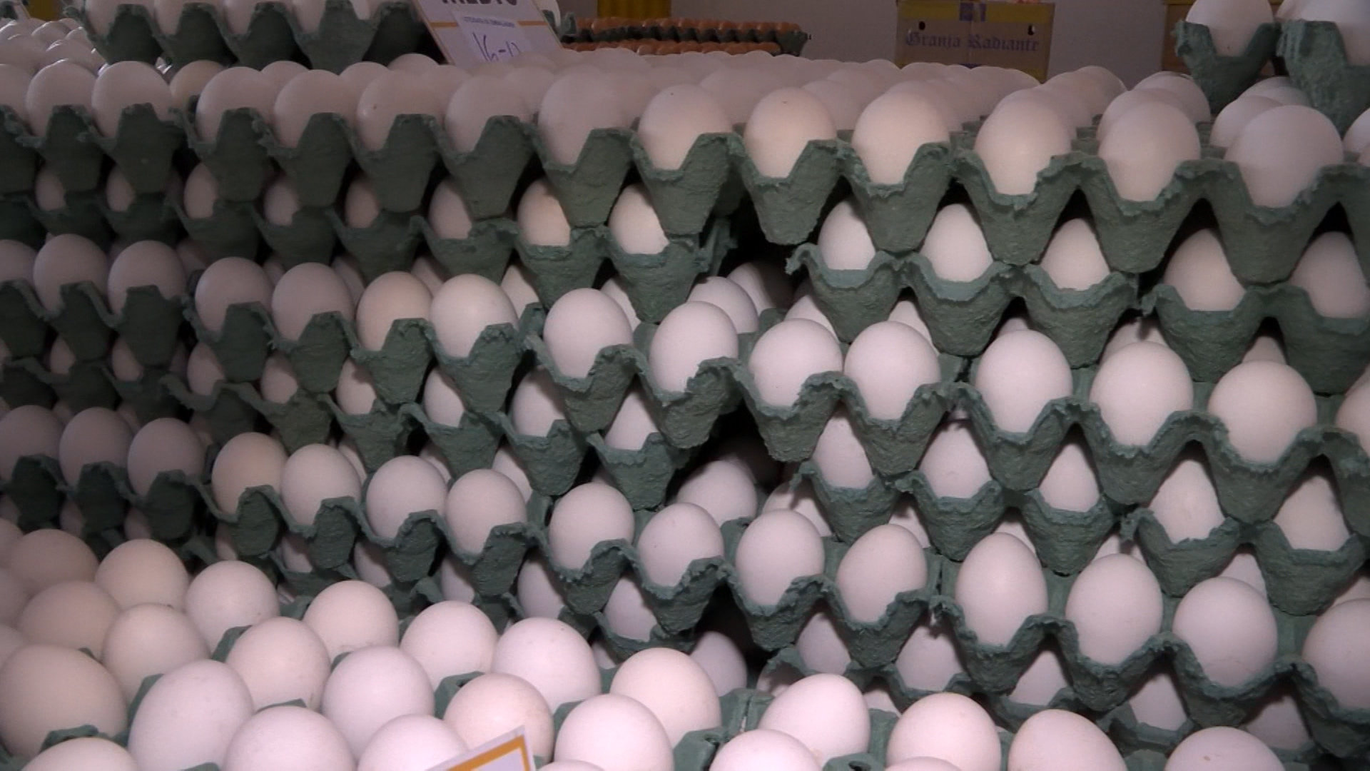 Consumo de ovos bate recorde no último trimestre de 2019