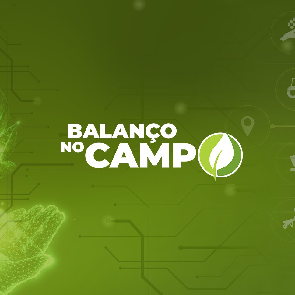 Balanço no Campo
