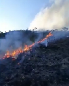 Sul de MG: churrasco pode ter causado incêndio que destruiu 11 hectares de Parque Estadual