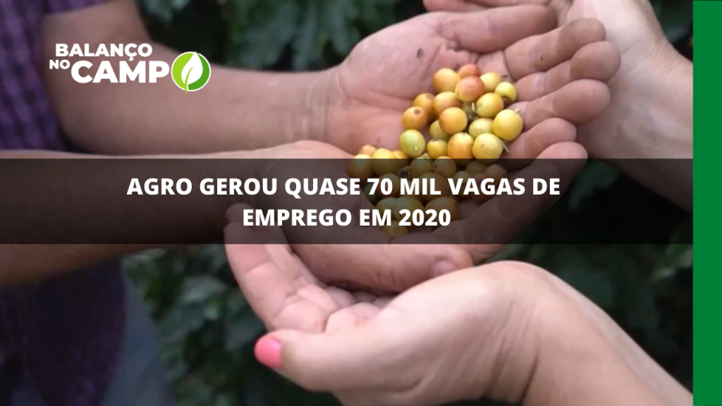 AGRO GEROU QUASE 70 MIL VAGAS DE EMPREGO EM 2020