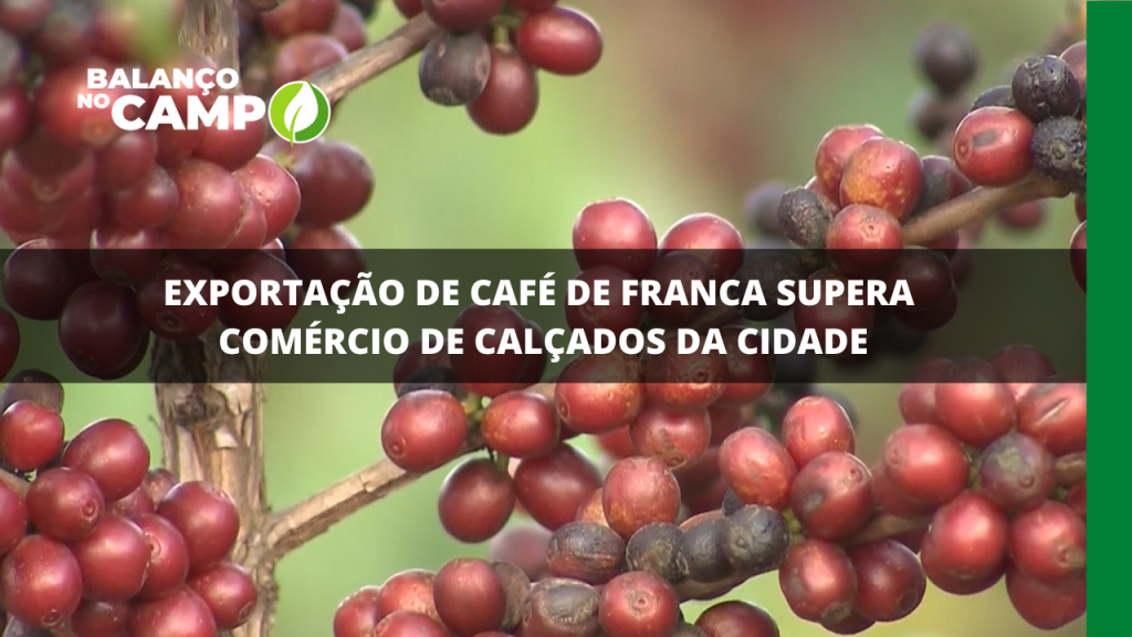 EXPORTAÇÃO DE CAFÉ DE FRANCA SUPERA COMÉRCIO DE CALÇADOS DA CIDADE