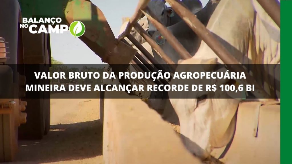 VALOR BRUTO DA PRODUÇÃO AGROPECUÁRIA MINEIRA DEVE ALCANÇAR RECORDE DE R$ 100,6 BI