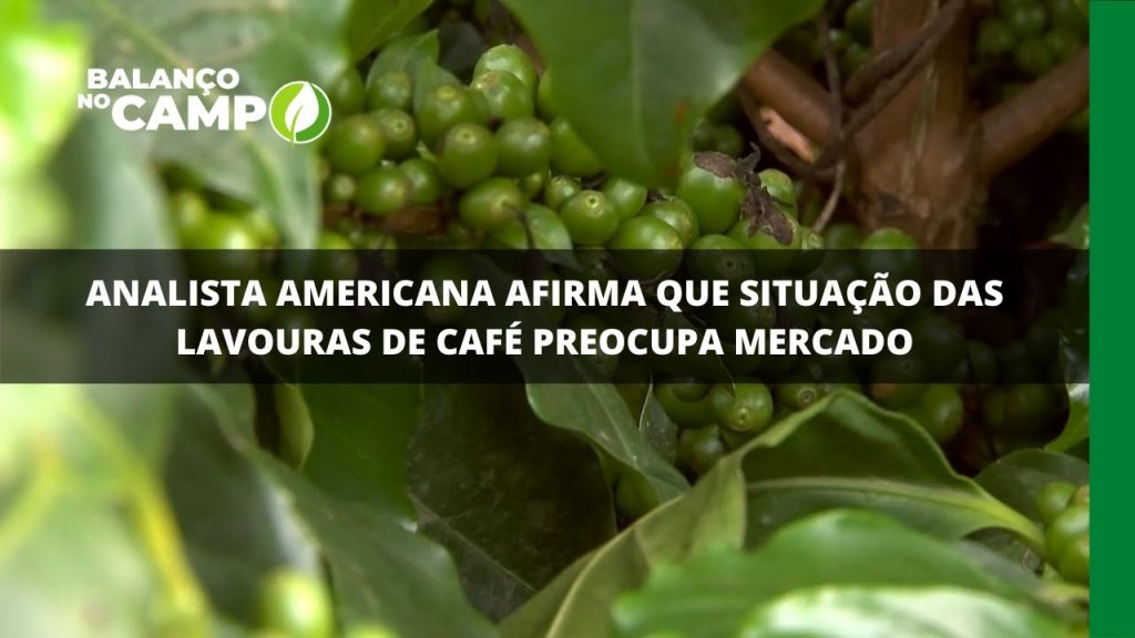 ANALISTA AMERICANA AFIRMA QUE SITUAÇÃO DAS LAVOURAS DE CAFÉ PREOCUPA MERCADO