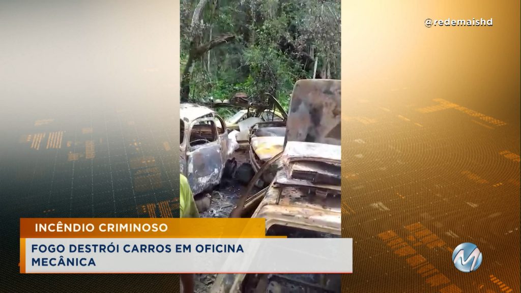 Incêndio criminoso destrói carros em oficina