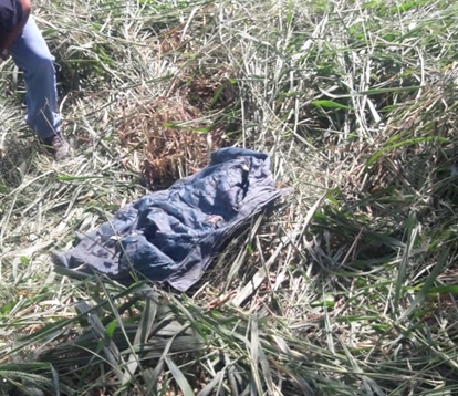 Corpo em estado de decomposição é encontrado enterrado em terreno em Campo Belo