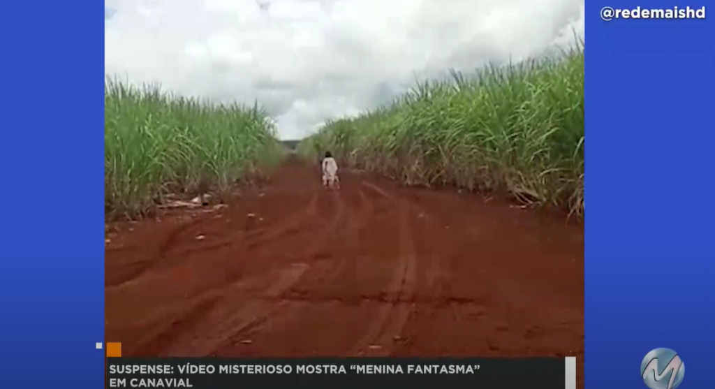 Mistério: imagem de menina em plantação viraliza nas redes sociais