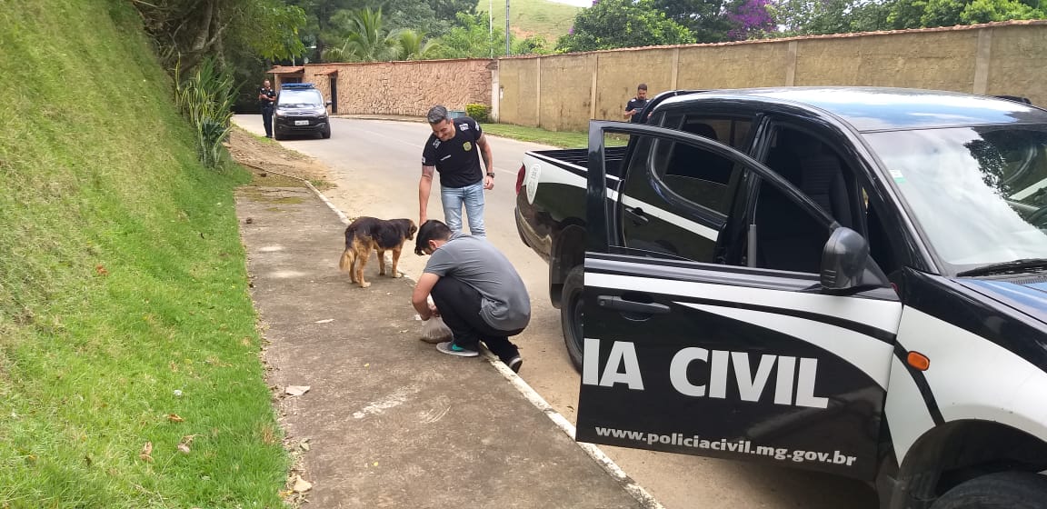 Juiz de Fora: polícia civil doa ração para alimentar cães de rua
