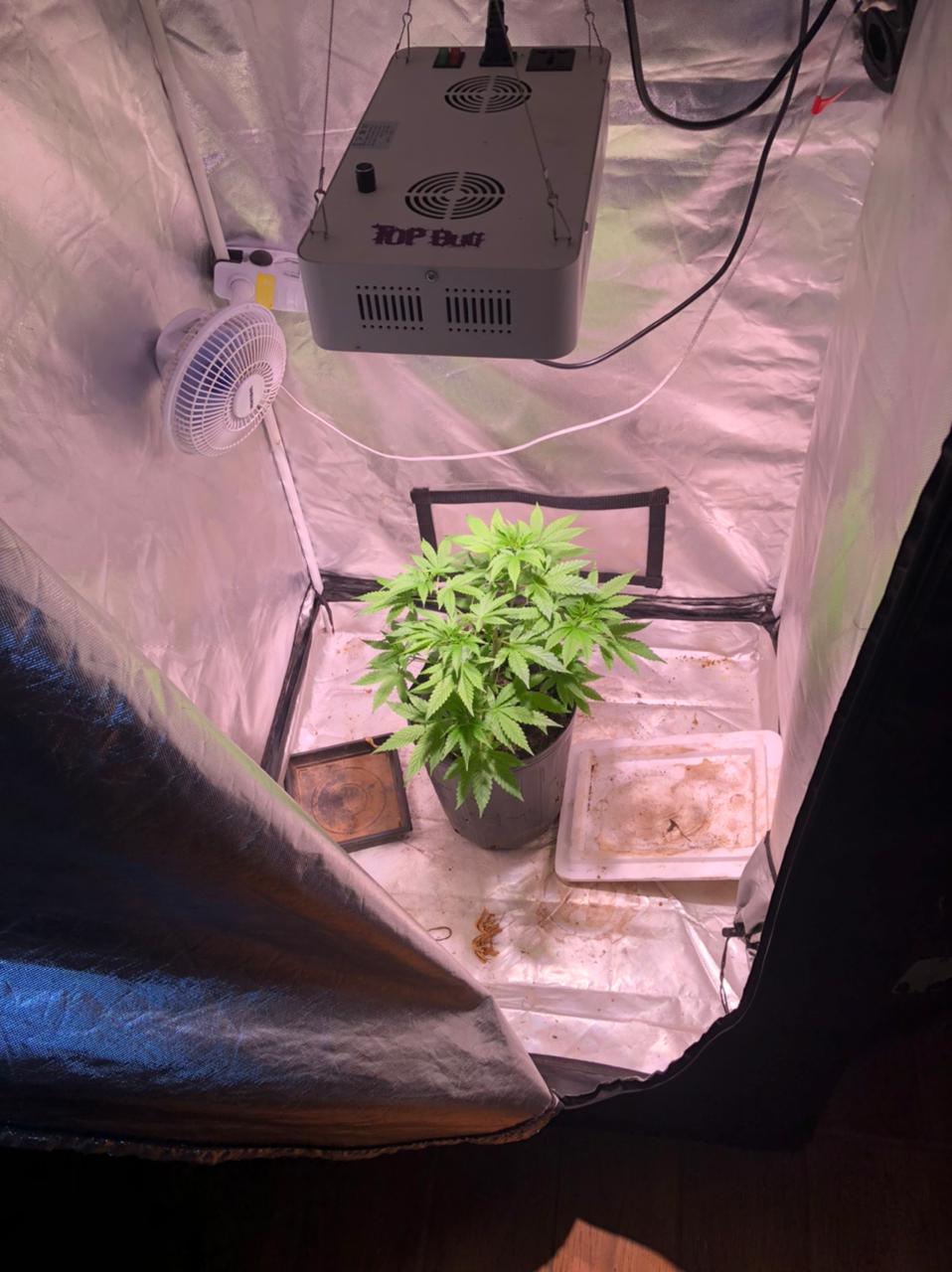 Pouso Alegre: suspeito de roubar R$ 300 mil em joias é preso