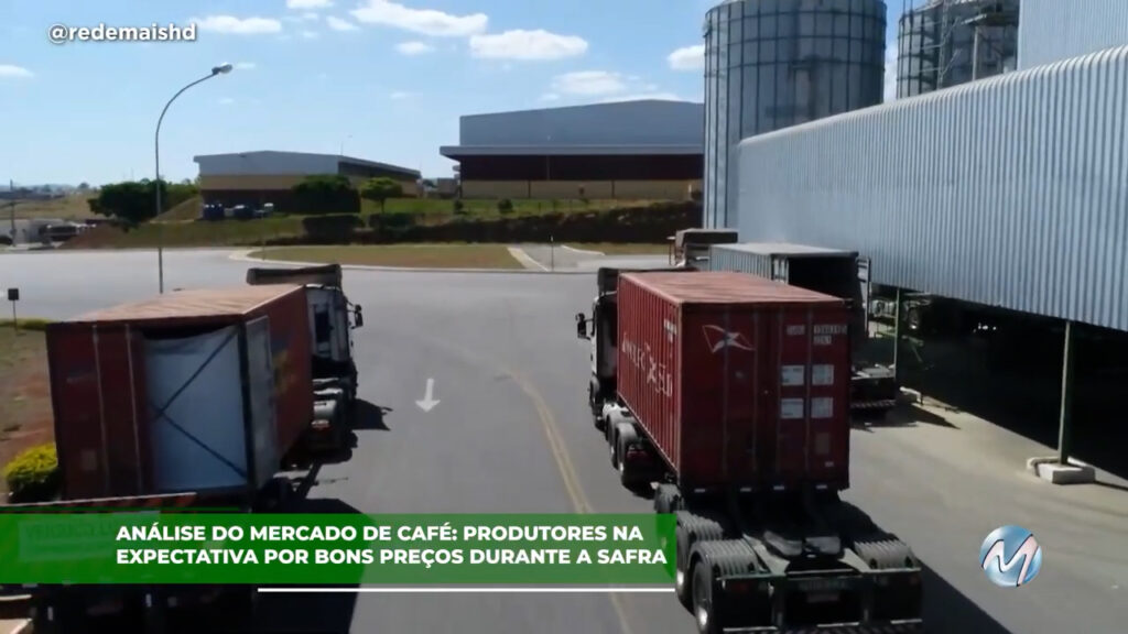 Análise do mercado de café: produtores na expectativa por bons preços durante a safra