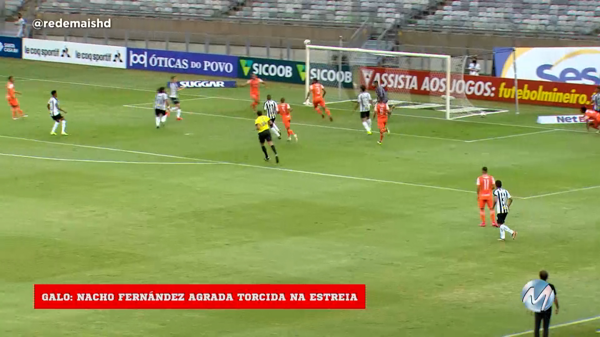 Estreia em alto nível no galo