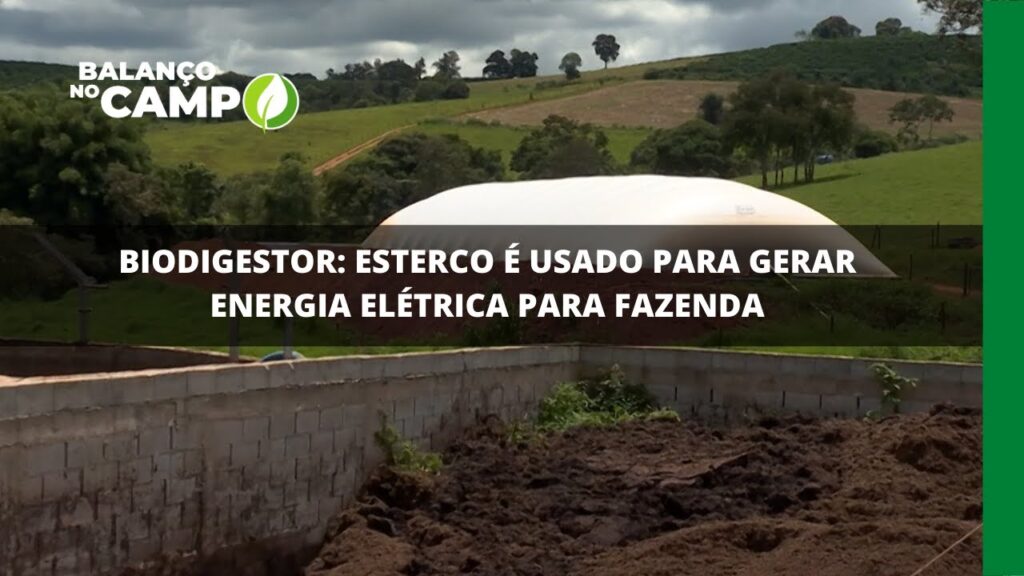 Biodigestor: esterco é usado para gerar energia elétrica para fazenda