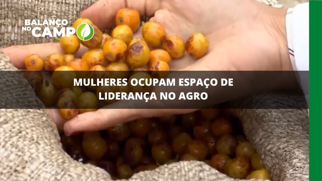 Mulheres ocupam espaço de liderança no agro