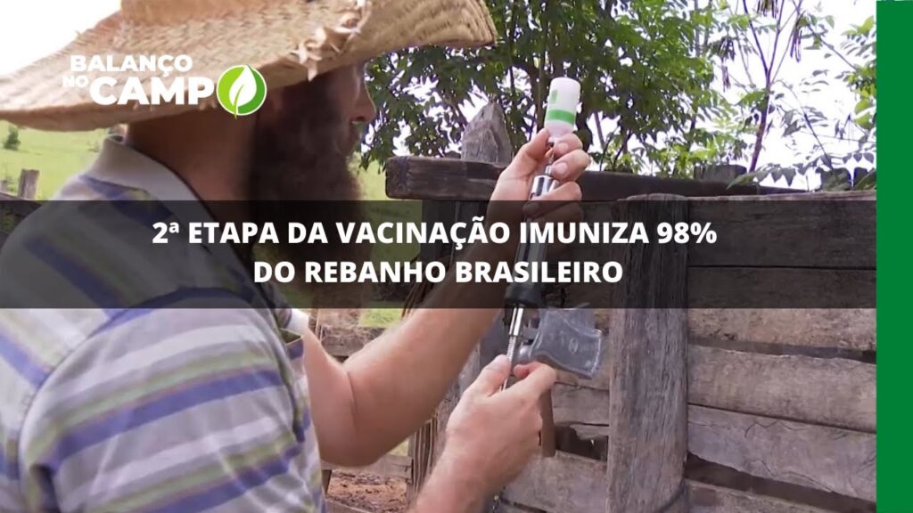 2ª etapa da vacinação imuniza 98% do rebanho brasileiro