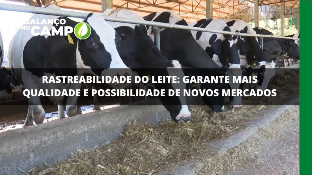 Rastreabilidade do leite: garante mais qualidade e possibilidade de novos mercados